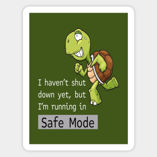 Running in Safe Mode Magnet